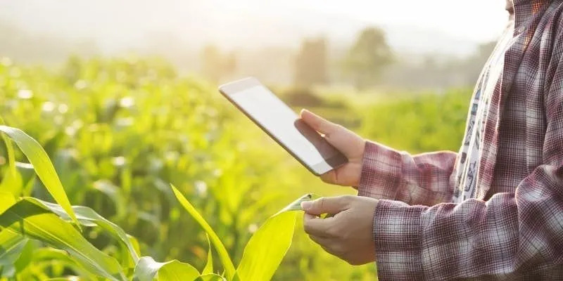 Agronegócio é o propulsor da economia paranaense e investe na digitalização por meio dos balcões digitais